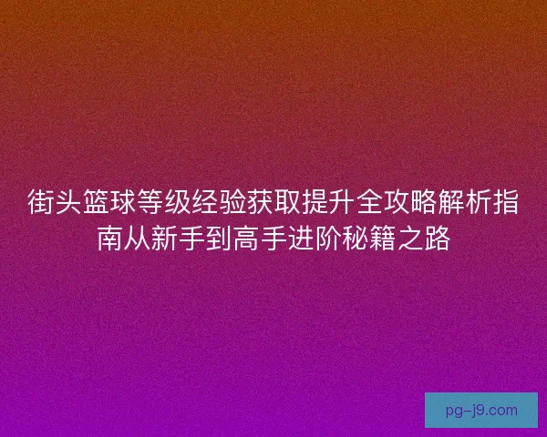 街头篮球等级经验获取提升全攻略解析指南从新手到高手进阶秘籍之路