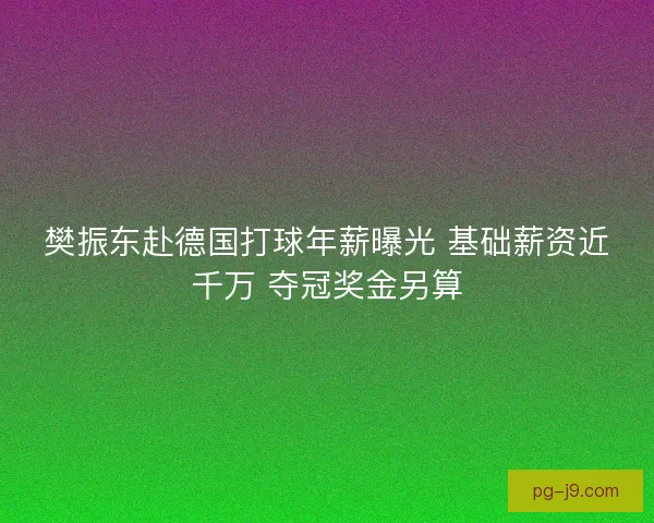 樊振东赴德国打球年薪曝光 基础薪资近千万 夺冠奖金另算